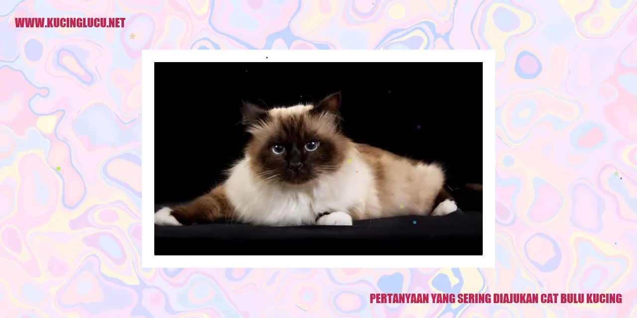 Pertanyaan yang Sering Diajukan cat bulu kucing