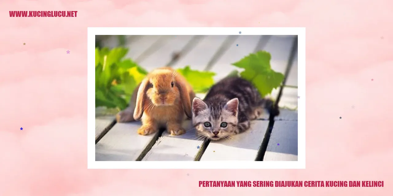 Gambar Kucing dan Kelinci