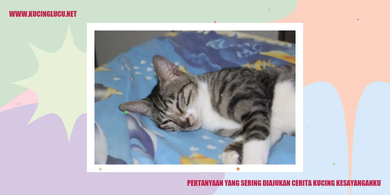 Gambar kucing kesayangan