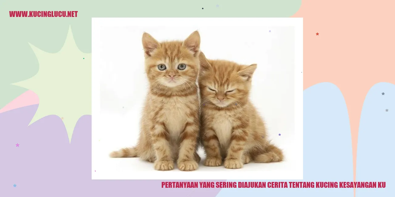 Kucing Kesayangan