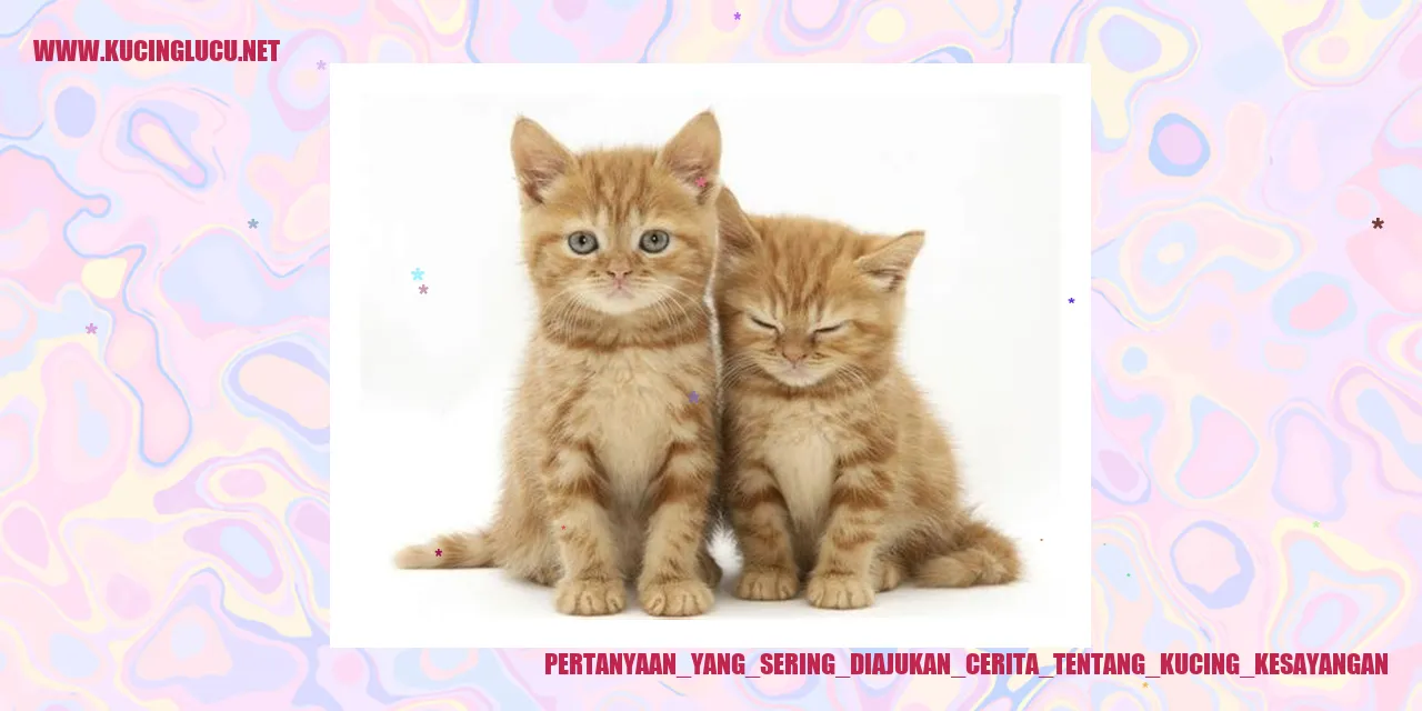 Ilustrasi kucing kesayangan