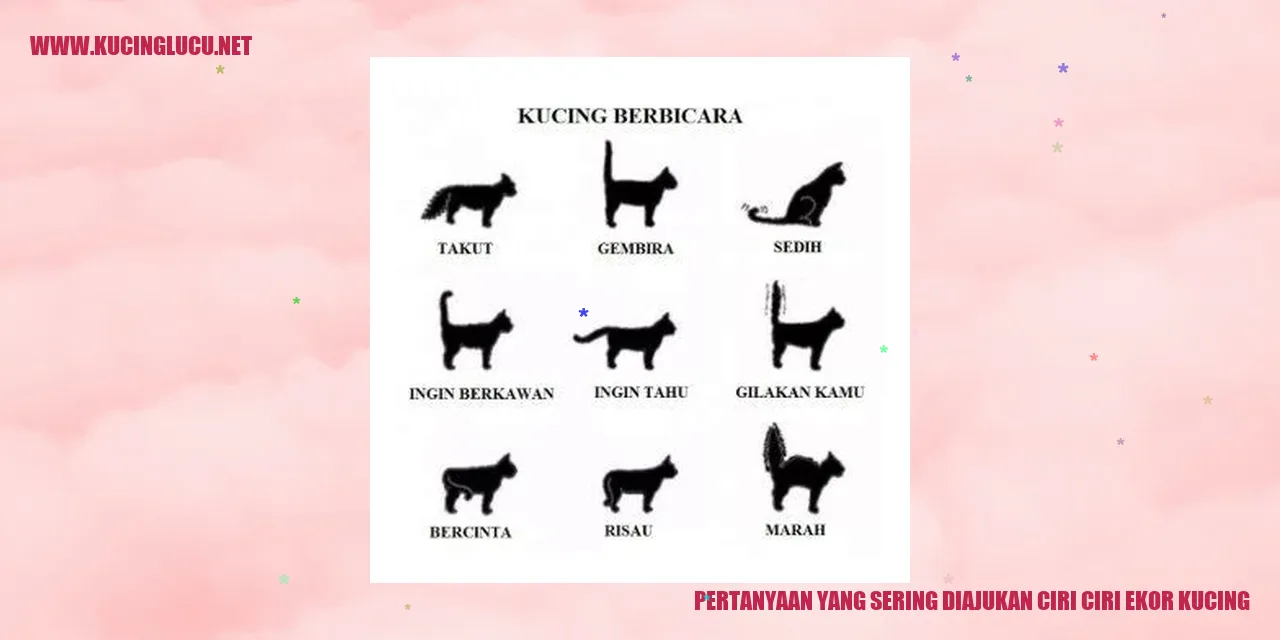 Ilustrasi Kucing