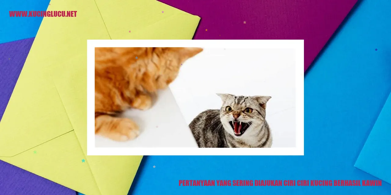 Ilustrasi Kucing yang Berhasil Kawin