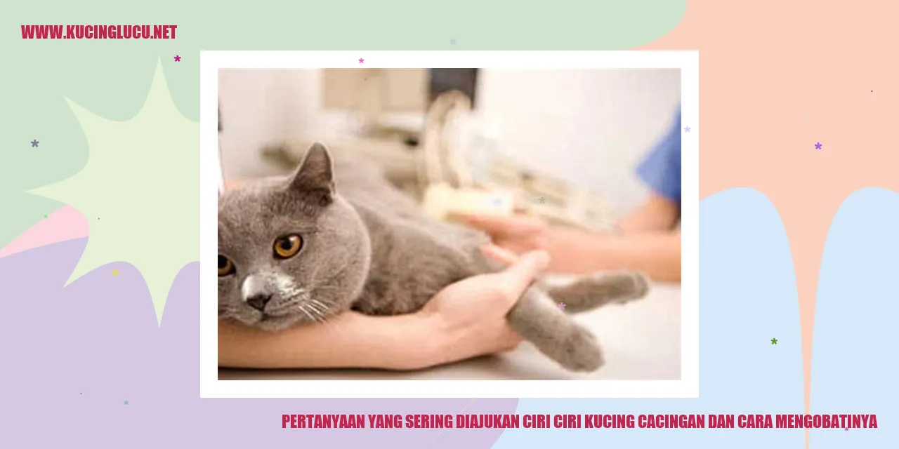 Kucing Cacingan