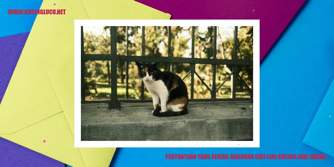 Pertanyaan yang Sering Diajukan tentang Ciri-Ciri Kucing Jadi Jadian