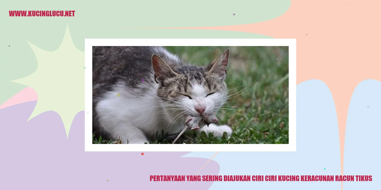 Ilustrasi Kucing yang Keracunan Racun Tikus