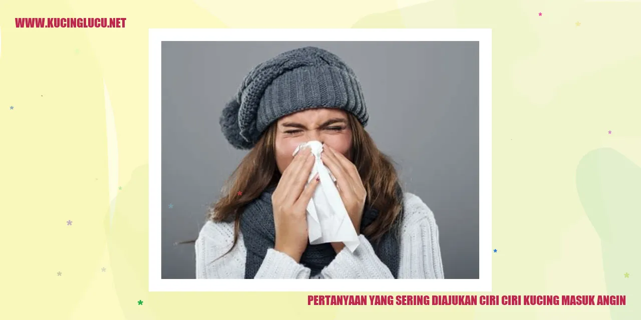 Pertanyaan yang Sering Diajukan ciri ciri kucing masuk angin