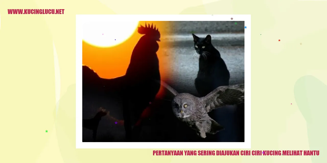 Ilustrasi Kucing yang Melihat Hantu
