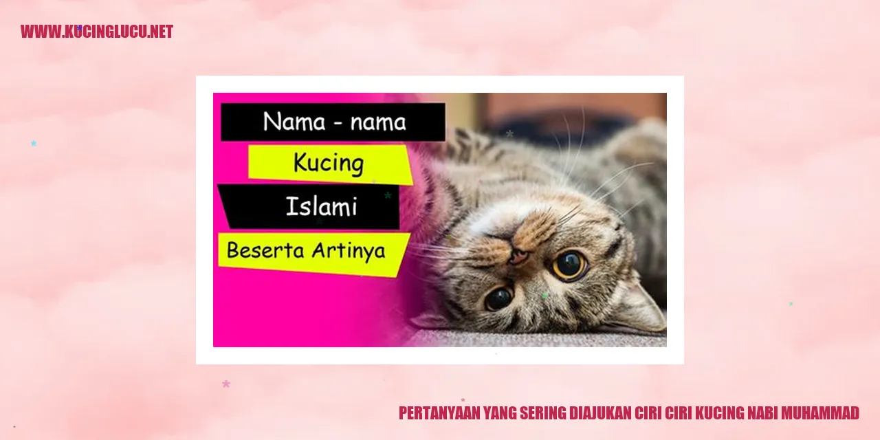 Gambar Kucing