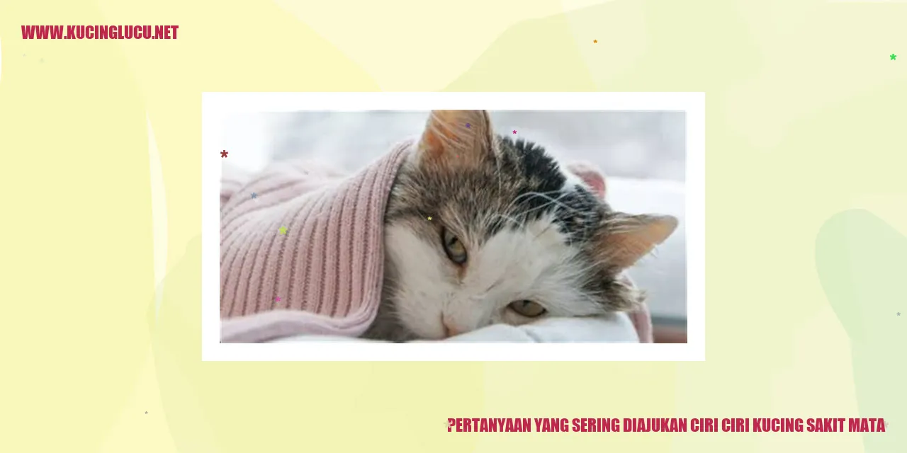 Kucing sakit mata