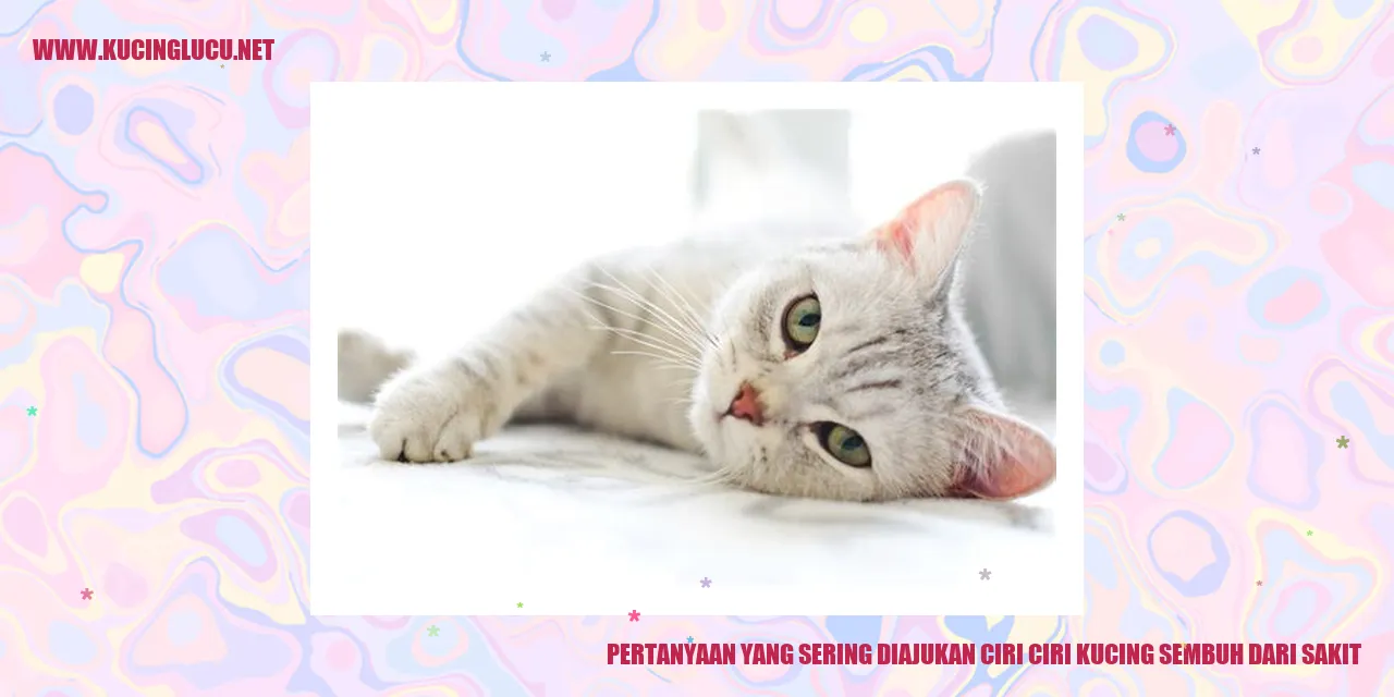 Ilustrasi Kucing Sakit