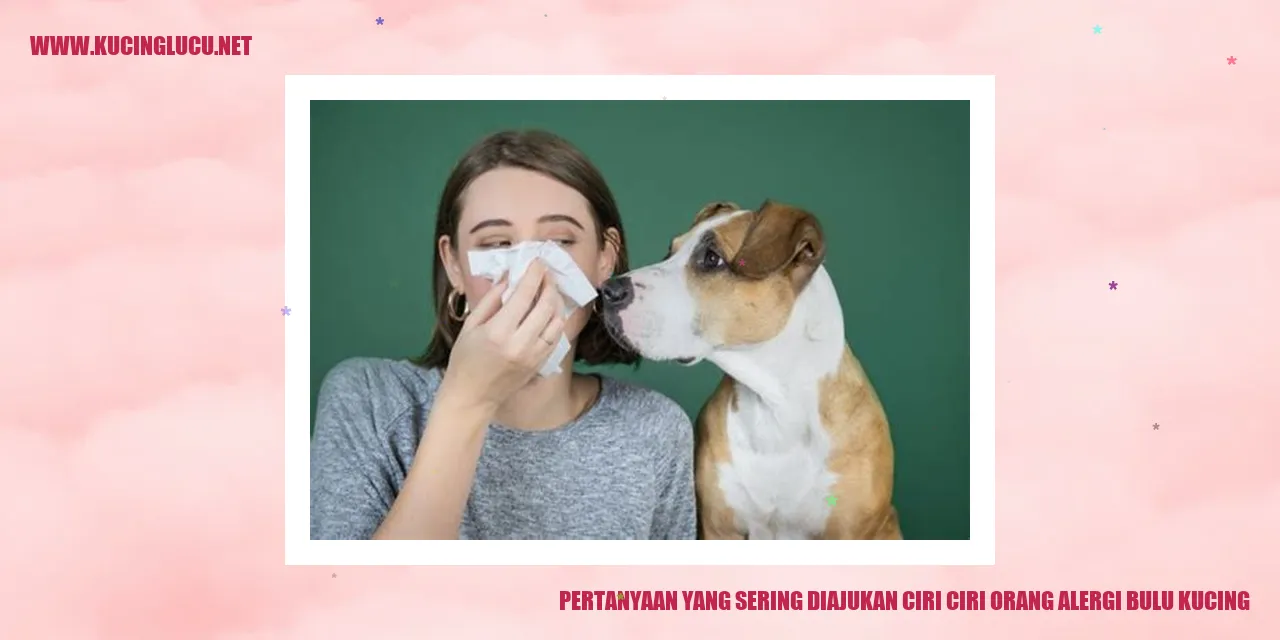 Gambar alergi bulu kucing