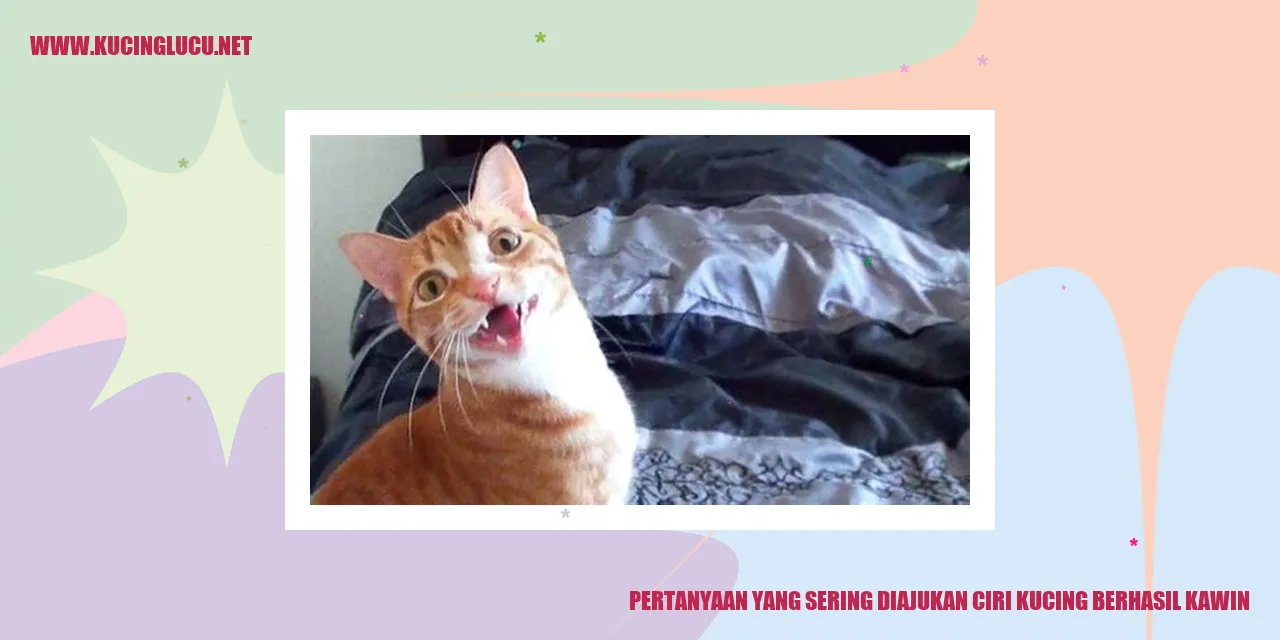 Ciri Kucing Berhasil Kawin