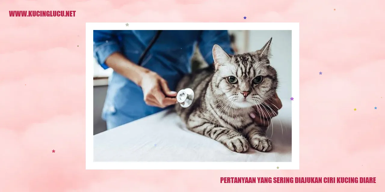 Ciri Kucing Diare