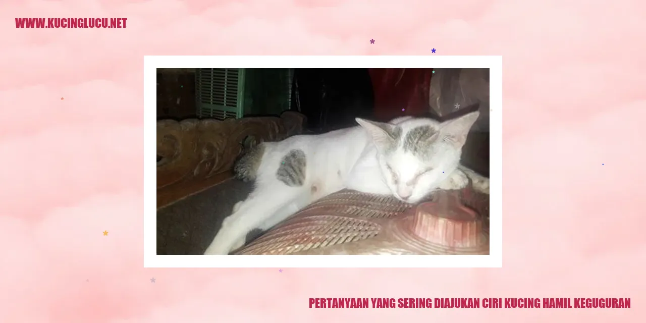 Gambar ilustrasi kucing hamil keguguran