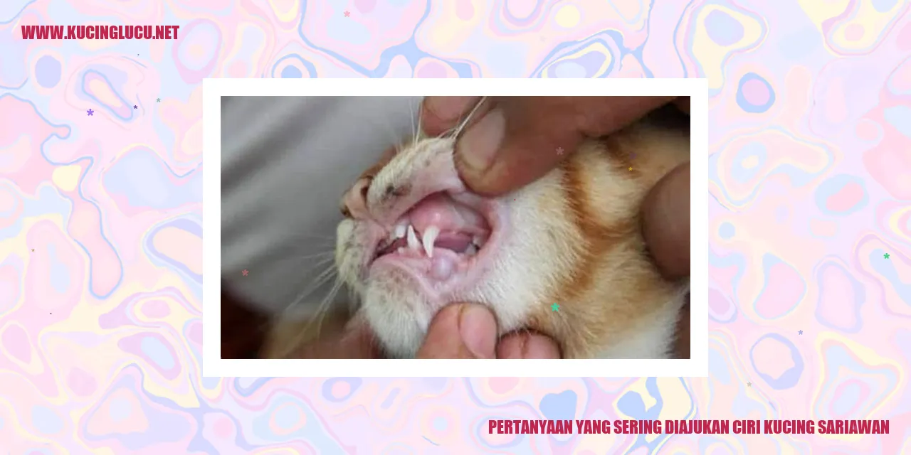 Ciri Kucing Sariawan