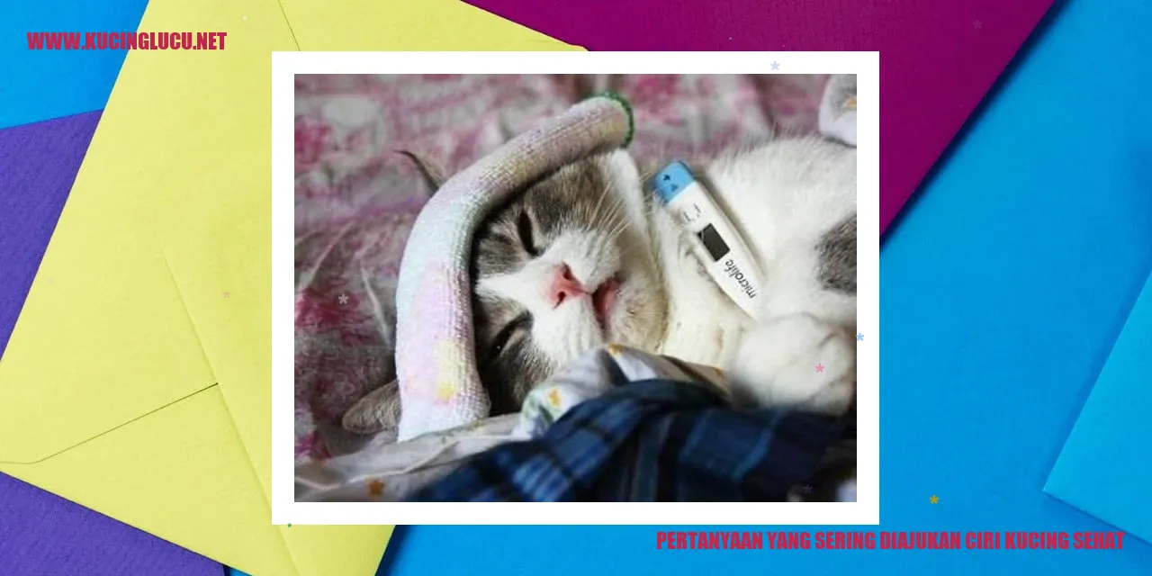 Ciri Kucing Sehat