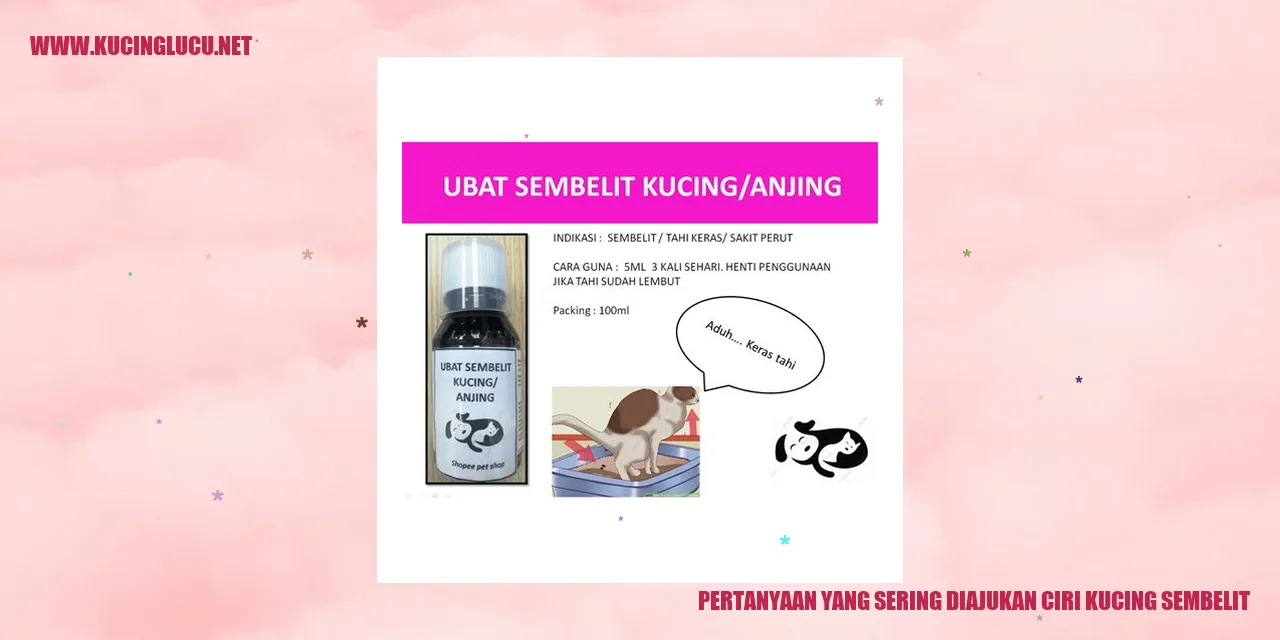 Pertanyaan yang Sering Diajukan tentang Ciri Kucing yang Mengalami Sembelit