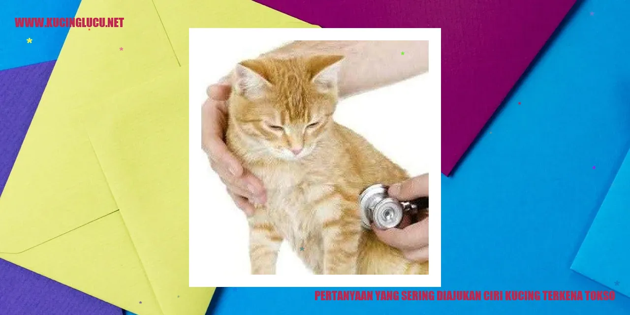 Gambar kucing