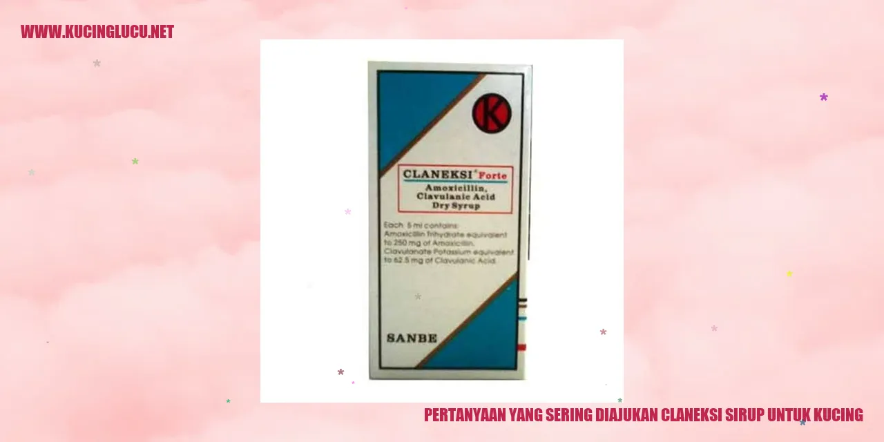 Kucing dengan sirup