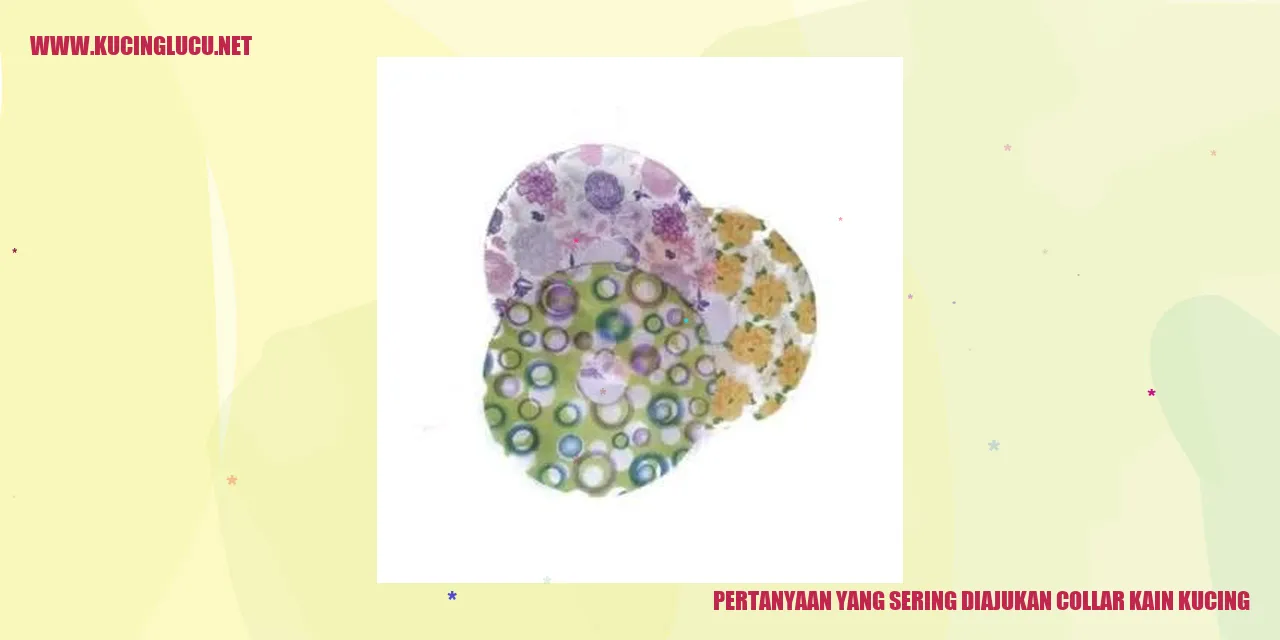 collar kucing