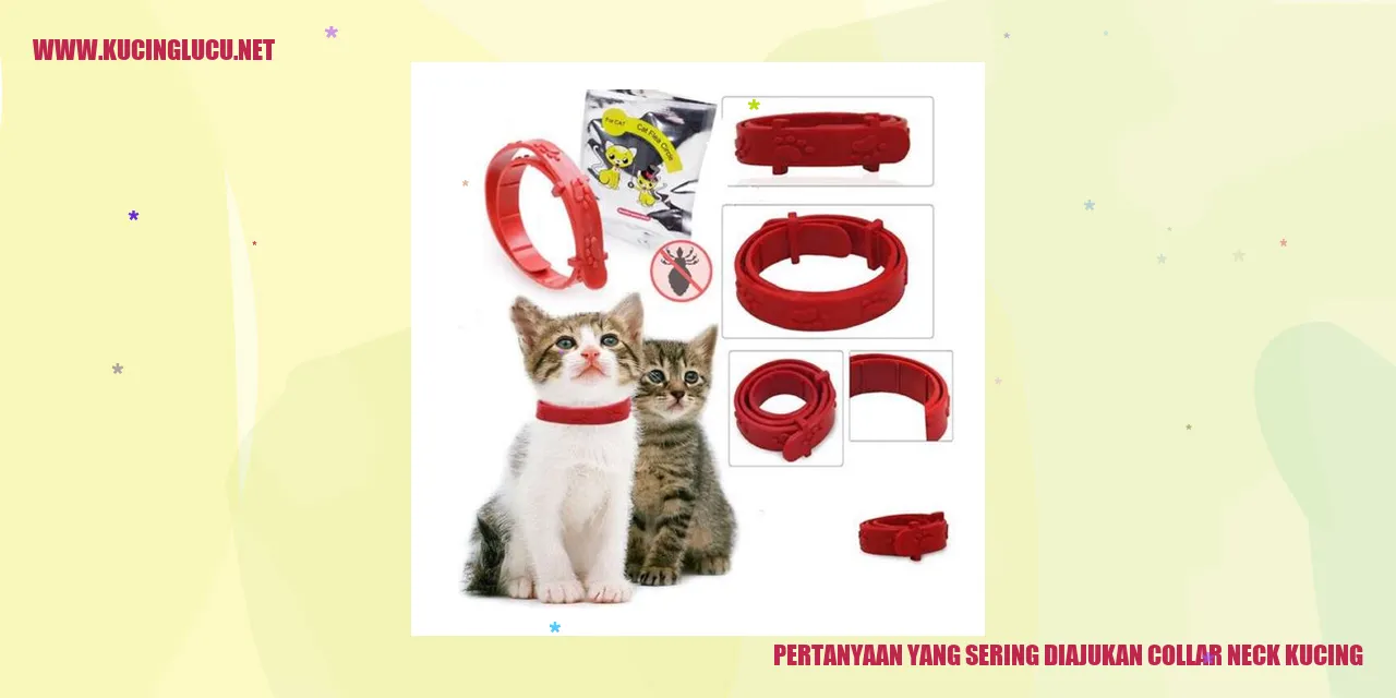 Pertanyaan yang Sering Diajukan collar neck kucing