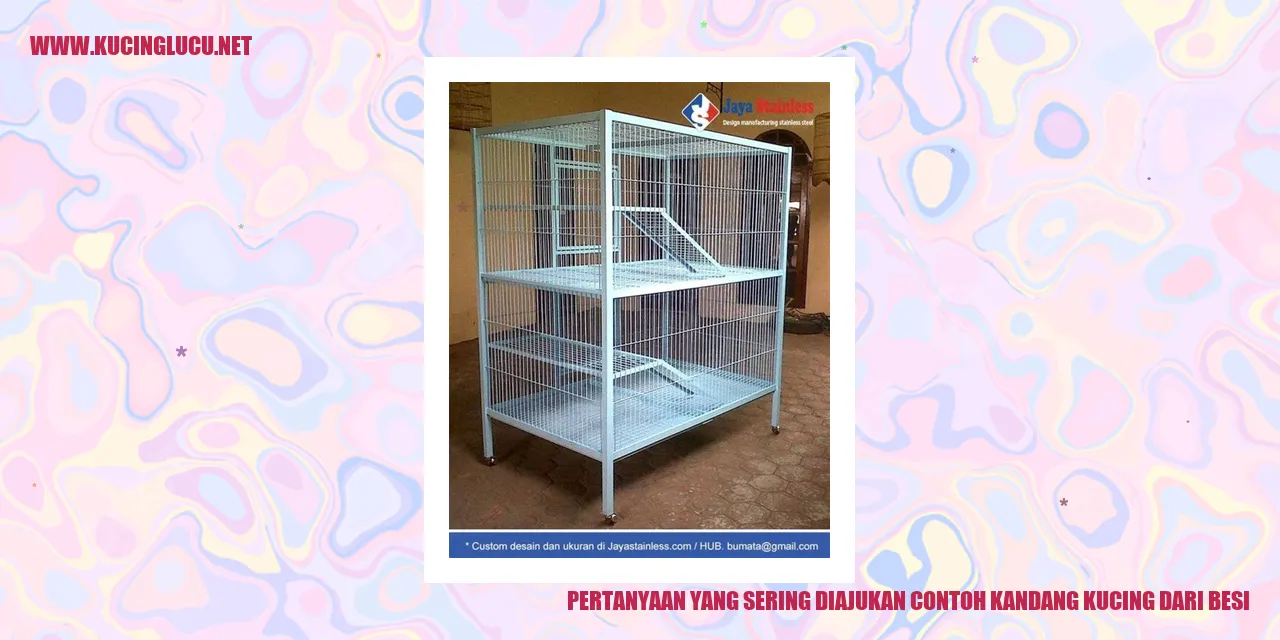 contoh kandang kucing dari besi