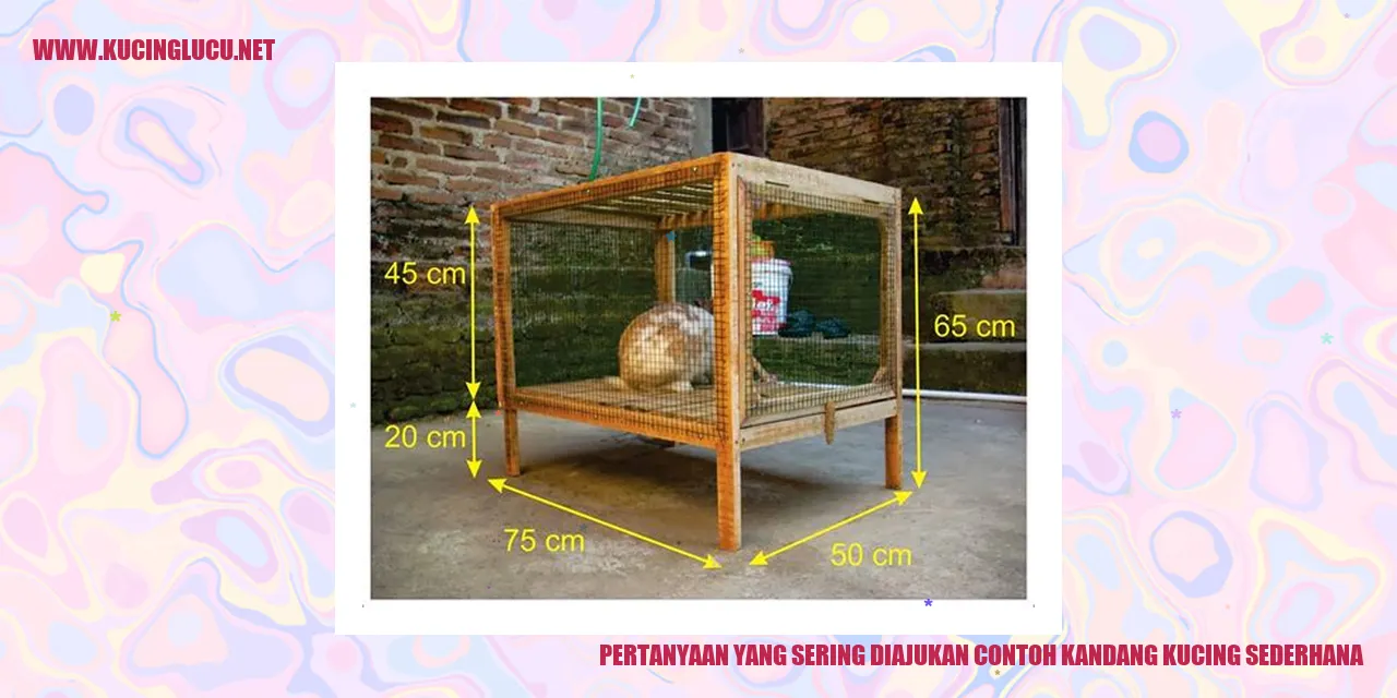 Contoh Kandang Kucing Sederhana