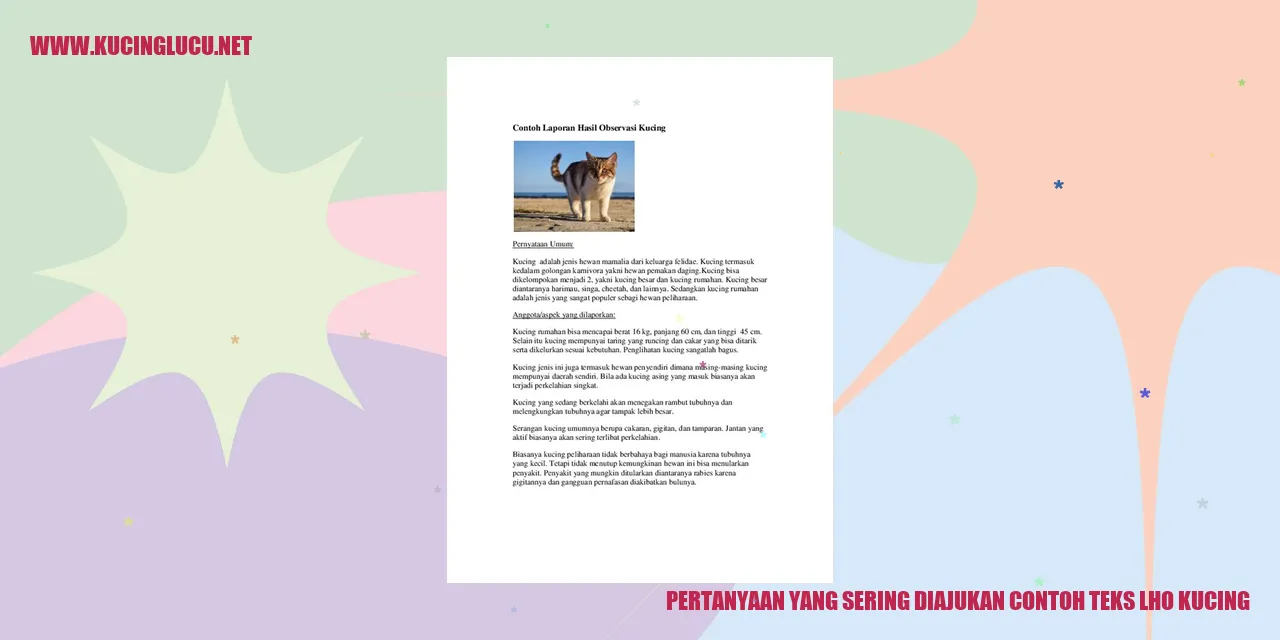 Gambar kucing yang menggemaskan