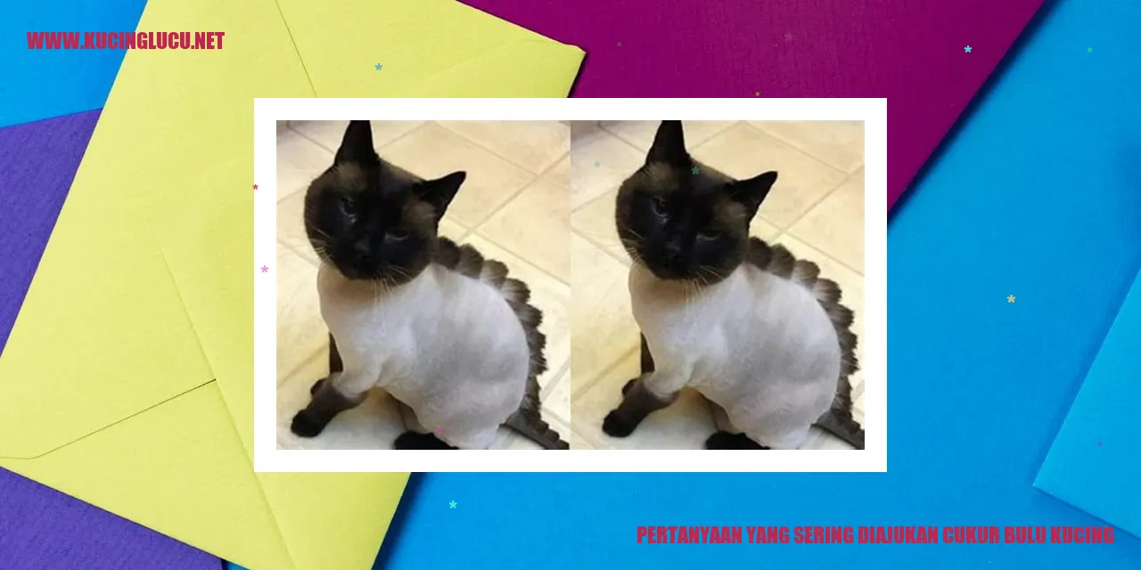 Pertanyaan yang Sering Diajukan cukur bulu kucing