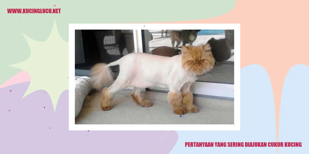 Pertanyaan yang Sering Diajukan cukur kucing