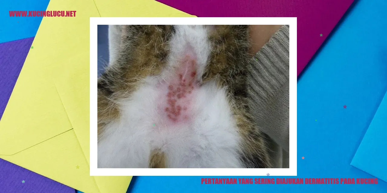 Pertanyaan yang Sering Diajukan dermatitis pada kucing