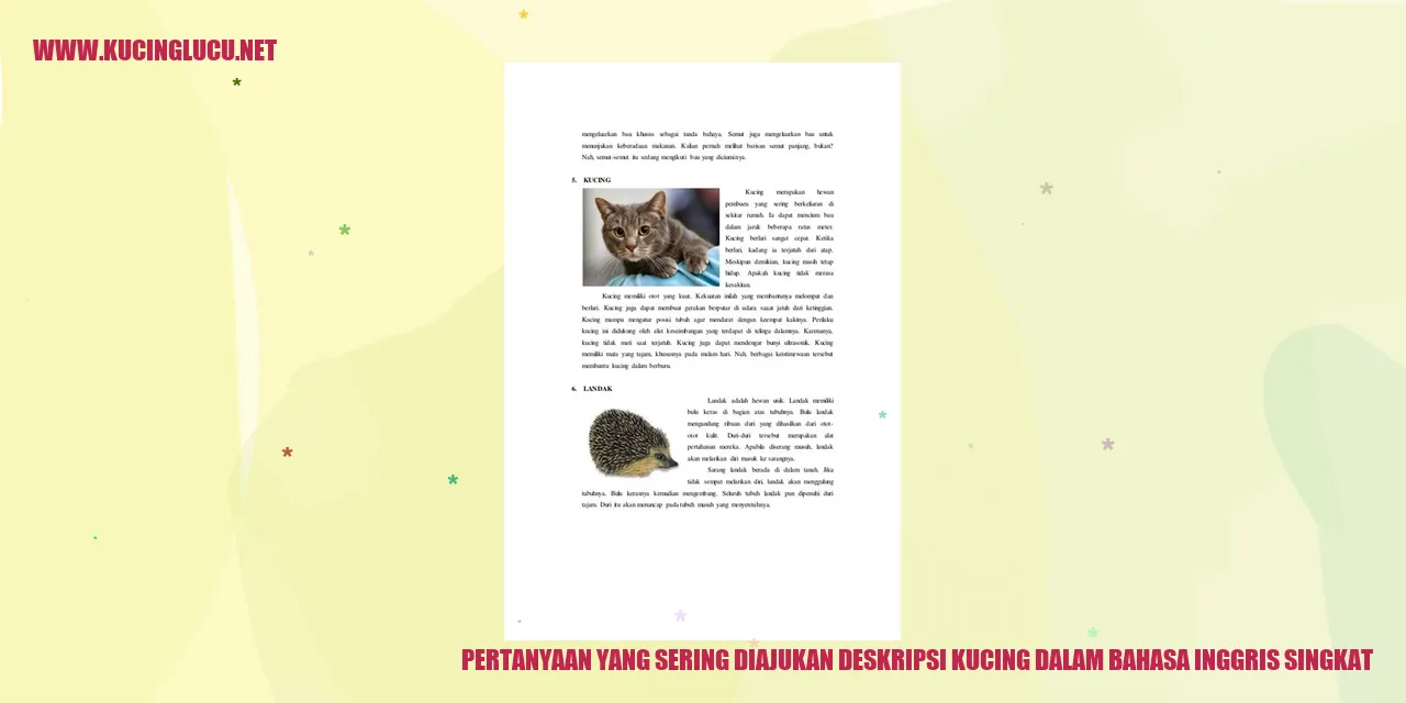 Kucing imut