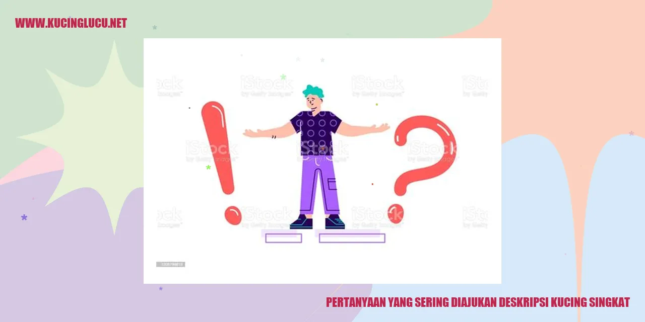 Gambar Kucing