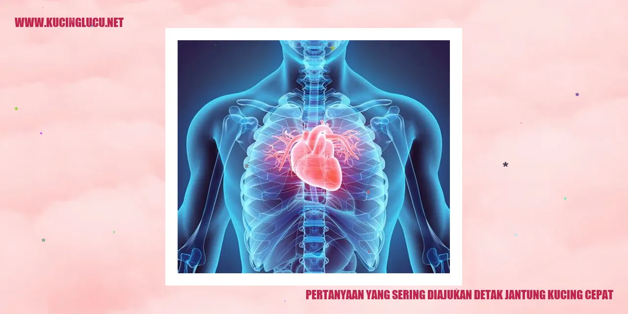 Gambar kucing yang menunjukkan detak jantung cepat
