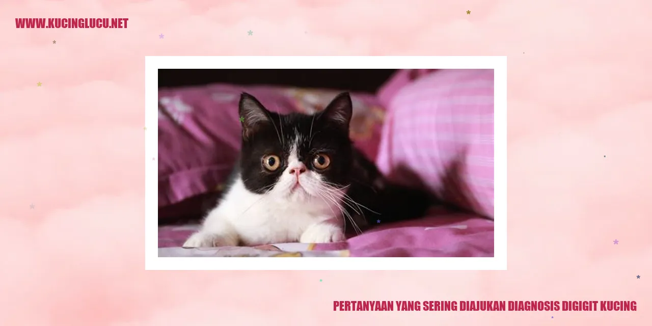 gambar kucing yang sedang digigit
