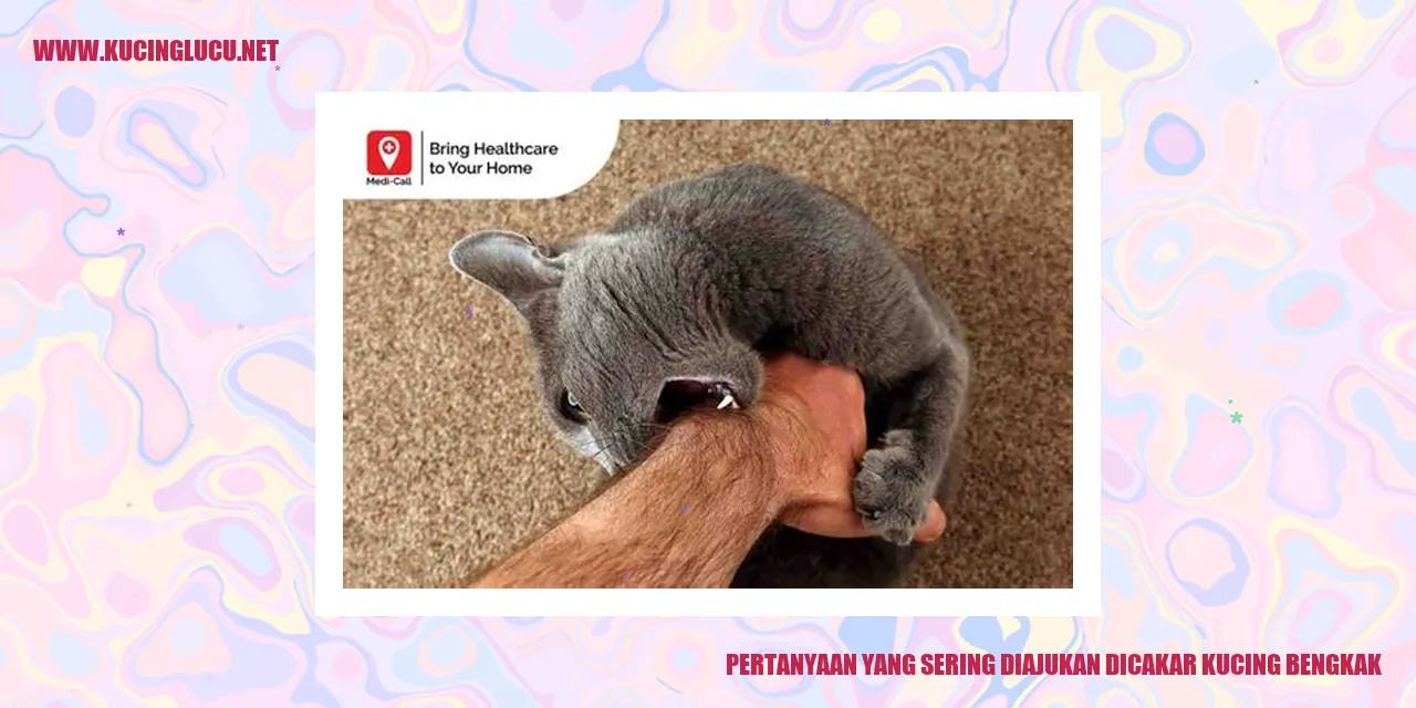 Kucing bengkak