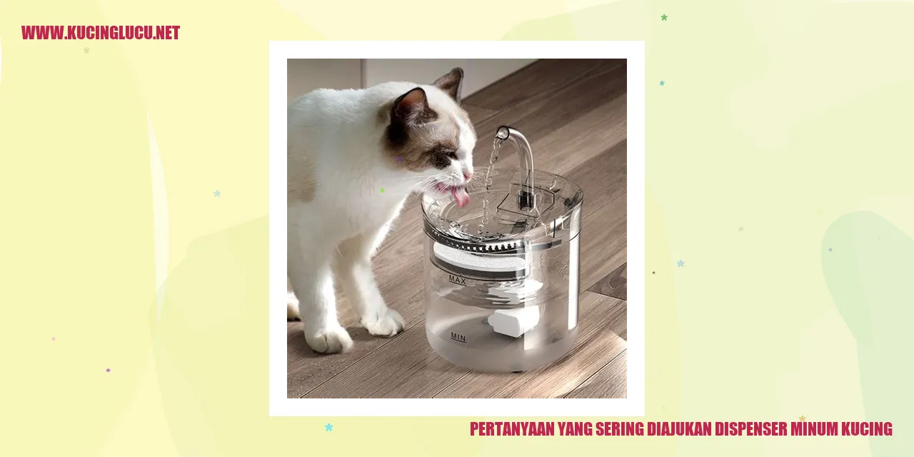 Gambar Dispenser Minum Kucing