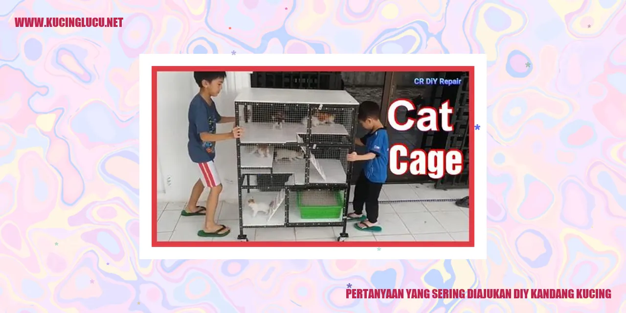 Pertanyaan yang Sering Diajukan tentang Kandang Kucing