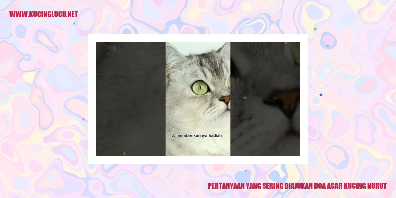 Gambar kucing nurut