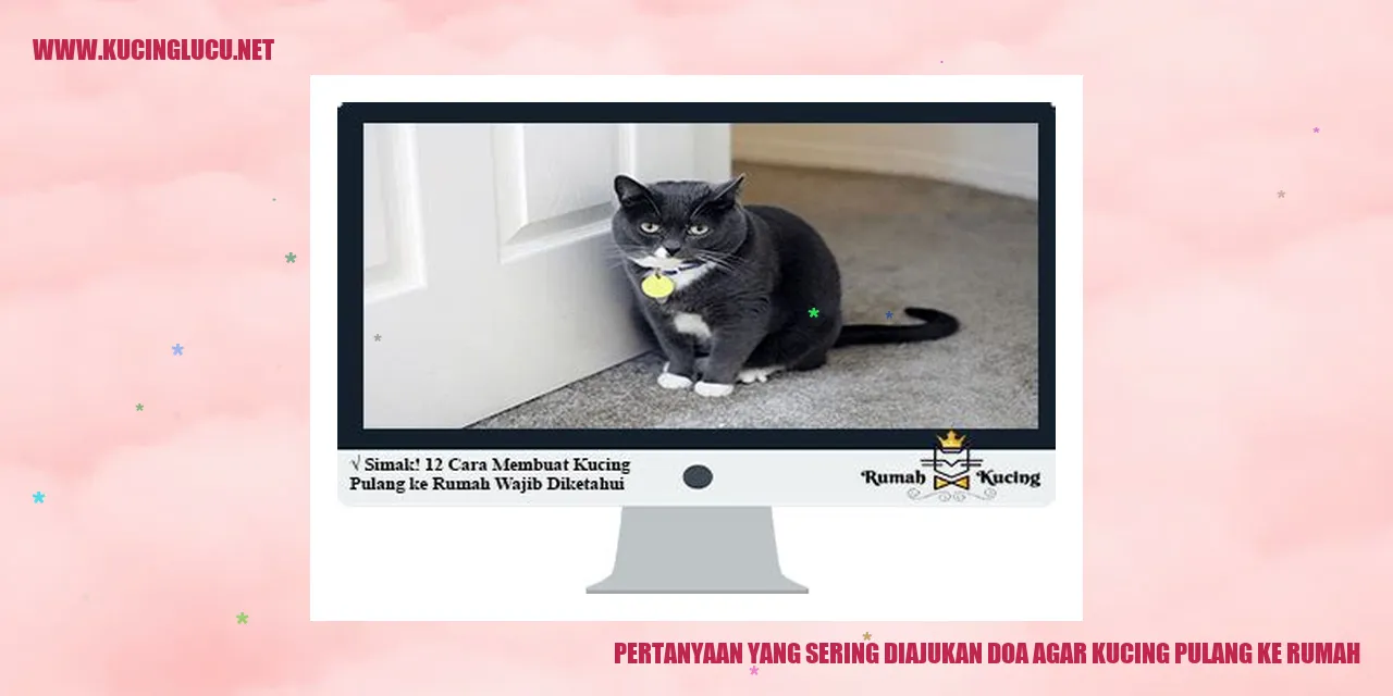 Pertanyaan yang Sering Diajukan doa agar kucing pulang ke rumah
