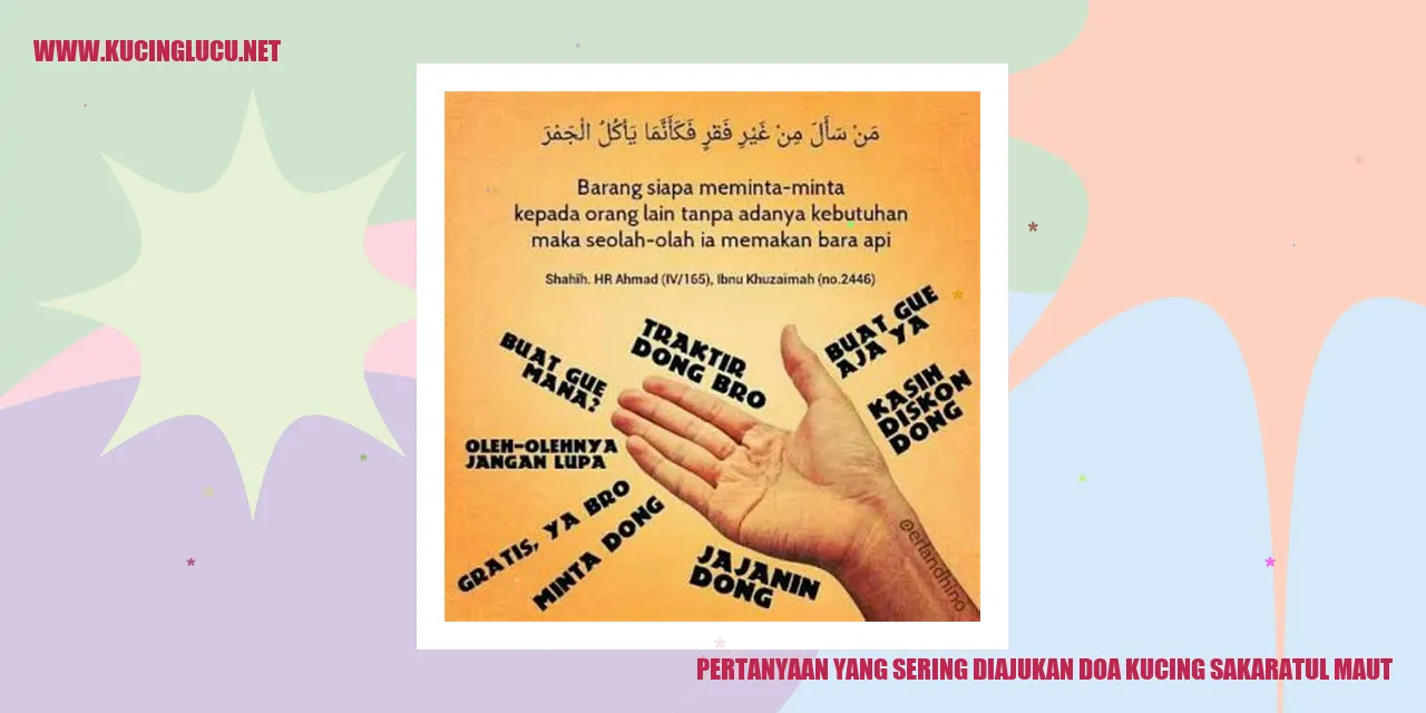 Doa Kucing Sakaratul Maut