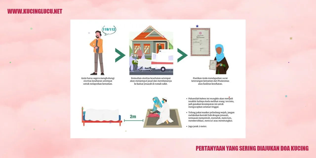 Gambar Kucing Lucu
