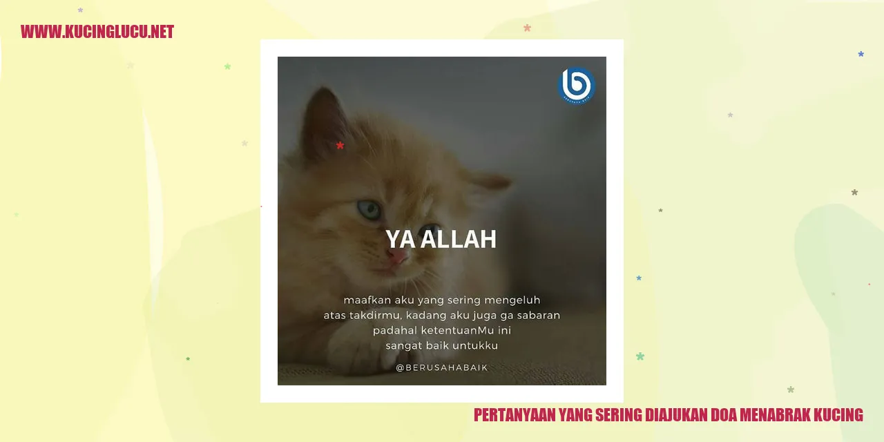 Ilustrasi Pertanyaan yang Sering Diajukan mengenai Tabrakan dengan Kucing