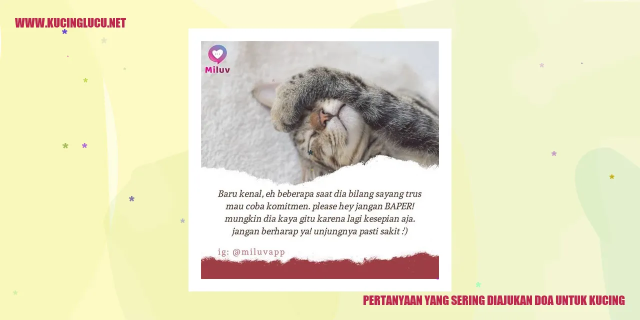 Gambar Kucing