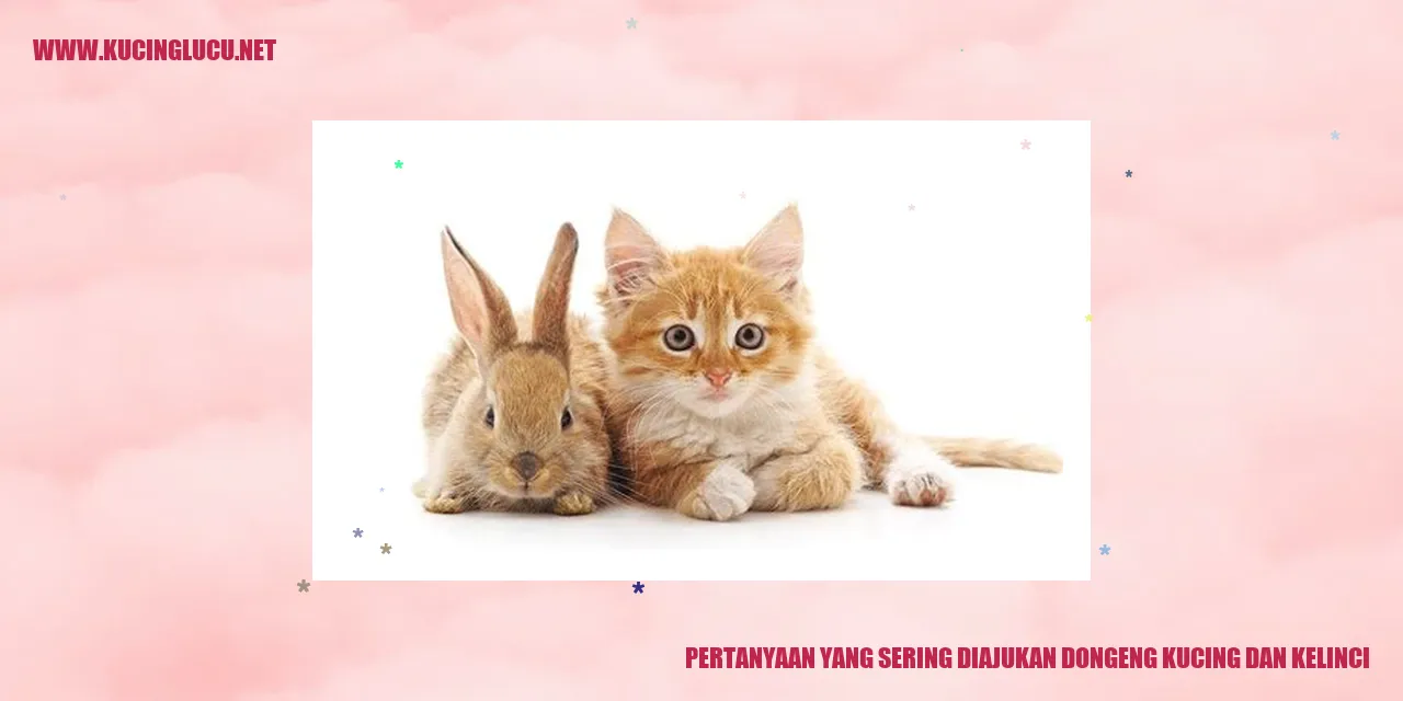 Dongeng Kucing dan Kelinci