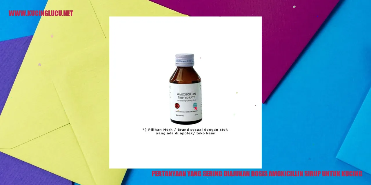 Amoxicillin Sirup untuk Kucing