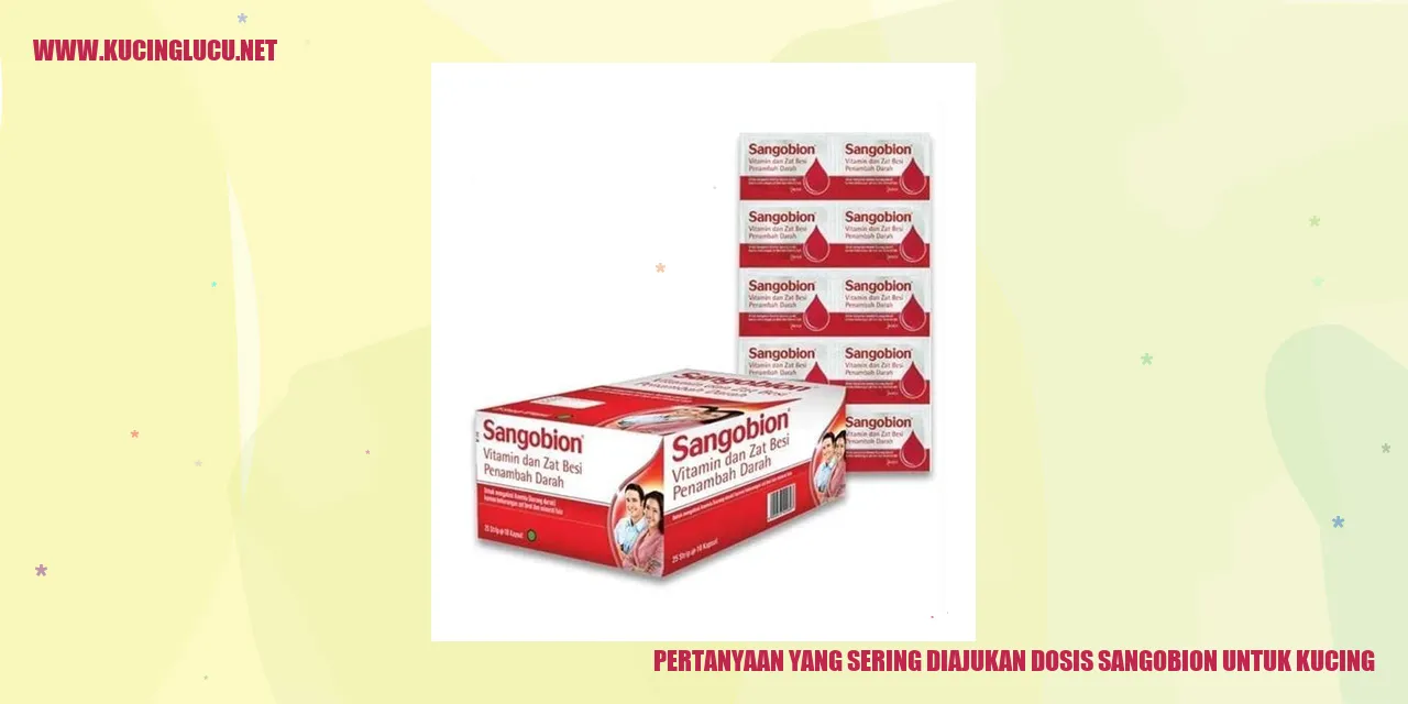 Gambar Kucing