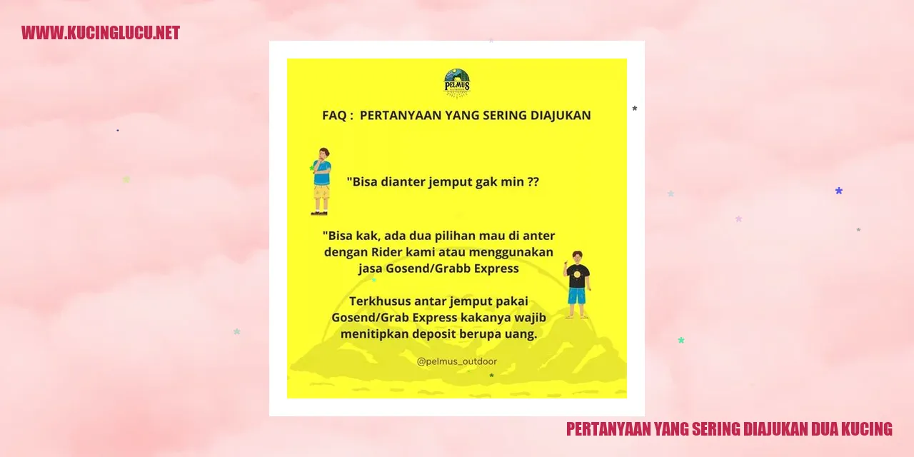 Dua Kucing