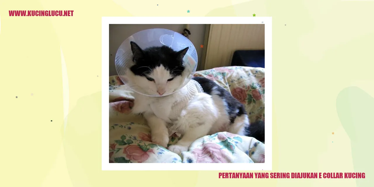 E Collar Kucing